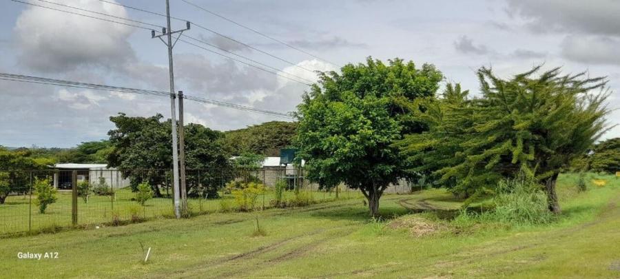 Foto Terreno en Venta en Liberia, Guanacaste - ¢ 500.000.000 - TEV86105 - BienesOnLine