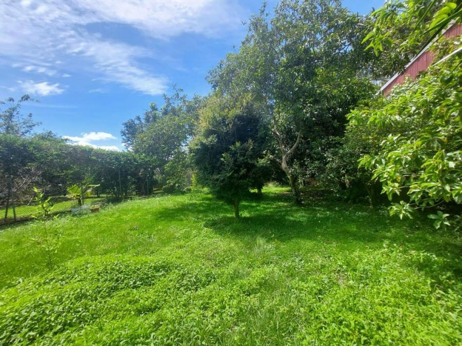 Foto Terreno en Venta en Angeles, Heredia - ¢ 65.000.000 - TEV92664 - BienesOnLine