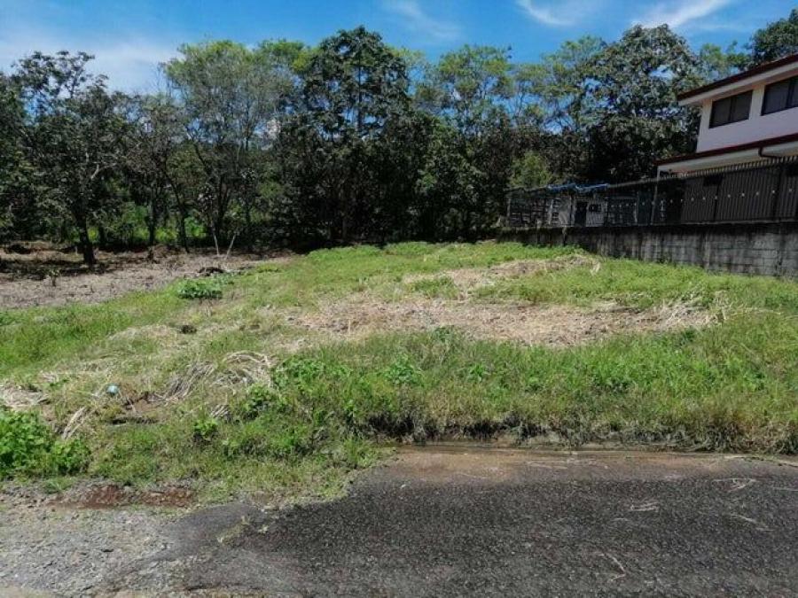 Foto Terreno en Venta en Naranjo, Alajuela - ¢ 23.500.000 - TEV92296 - BienesOnLine