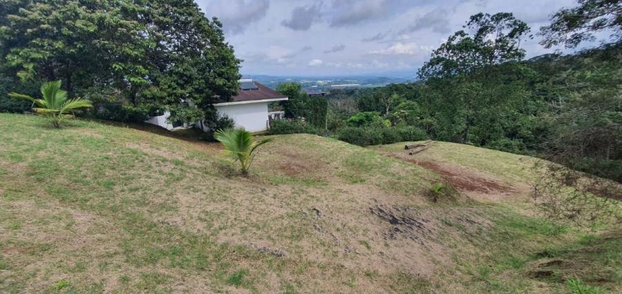 Foto Terreno en Venta en Naranjo, Alajuela - &cent; 50.000.000 - TEV116491 - BienesOnLine