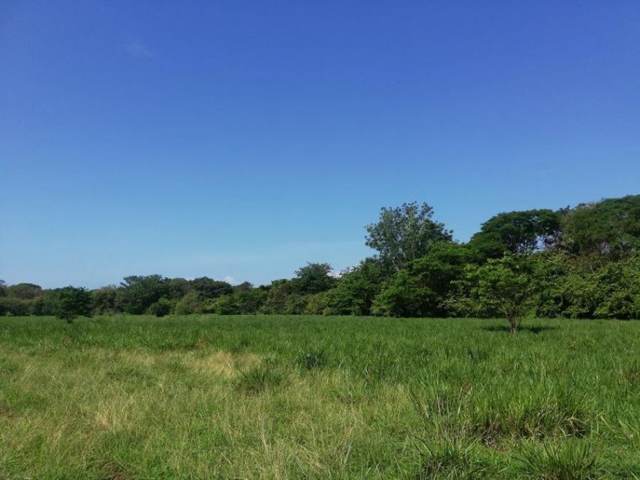 Foto Terreno en Venta en Nosara, Nicoya, Guanacaste - U$D 7.307.900 - TEV70070 - BienesOnLine