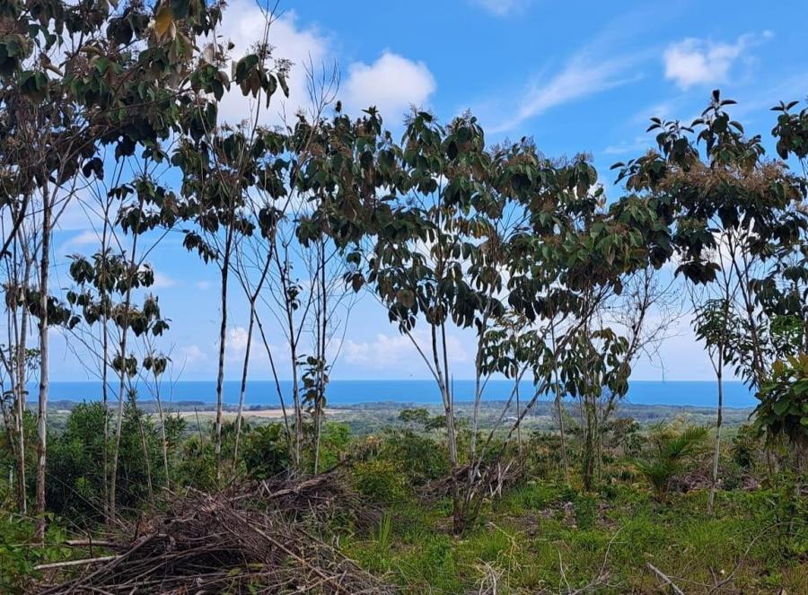 Foto Terreno en Venta en Parrita, Puntarenas - U$D 80.000 - TEV72733 - BienesOnLine