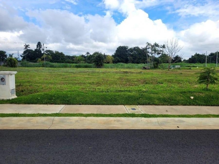 Foto Terreno en Venta en San Rafael, Alajuela - U$D 66.000 - TEV86104 - BienesOnLine