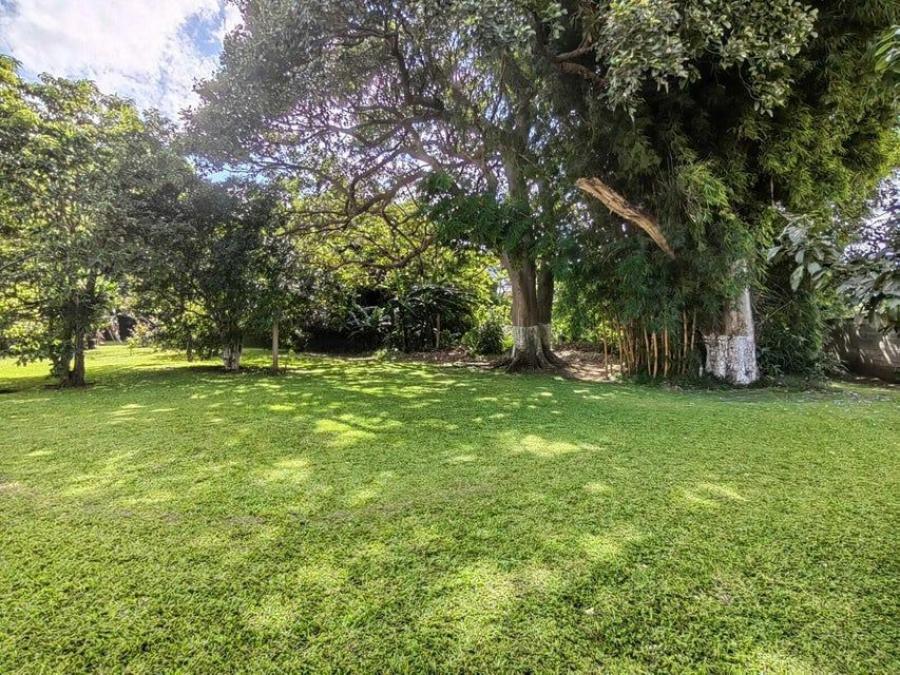 Foto Terreno en Venta en Tibs, San Jos - U$D 369.000 - TEV82179 - BienesOnLine