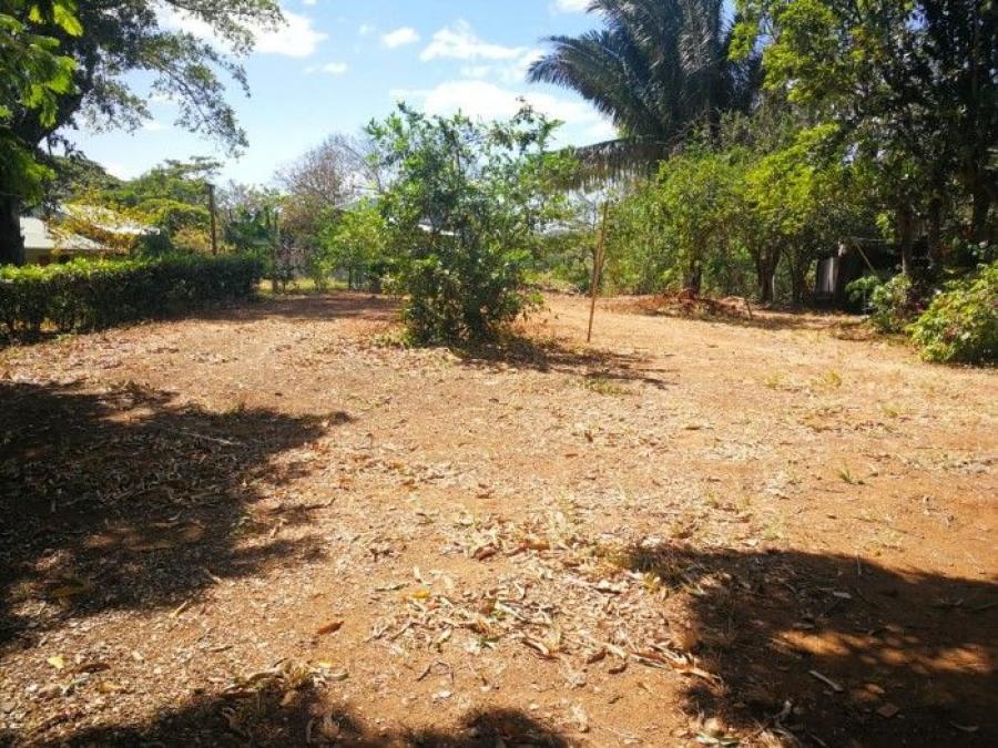 Foto Terreno en Venta en Hojancha, Guanacaste - ¢ 28.000.000 - TEV83140 - BienesOnLine