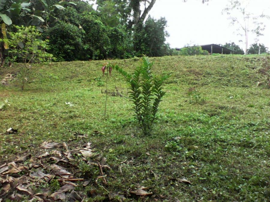 Foto Terreno en Venta en finca palmitas, La Virgen, Heredia - U$D 17.600 - TEV49424 - BienesOnLine