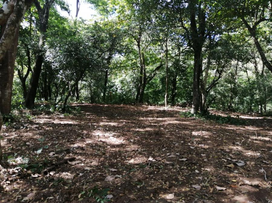 Foto Terreno en Venta en el Obispo, Mansión de nicoya, Guanacaste - 1 hectareas - U$D 135.000 - TEV63899 - BienesOnLine