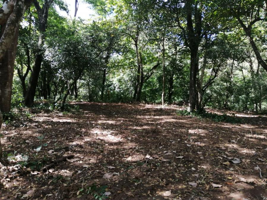 Foto Terreno en Venta en el Obispo, Mansin de nicoya, Guanacaste - 1 hectareas - U$D 135.000 - TEV63899 - BienesOnLine