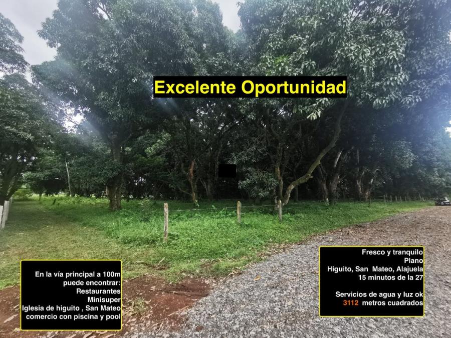 Foto Terreno en Venta en Higuito, San Mateo, Alajuela - ¢ 46.900.000 - TEV60983 - BienesOnLine