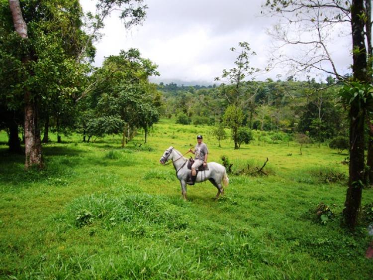 Foto Terreno en Venta en Blue River Estates, Quebrada Grande, Guanacaste - U$D 30.000 - TEV2486 - BienesOnLine
