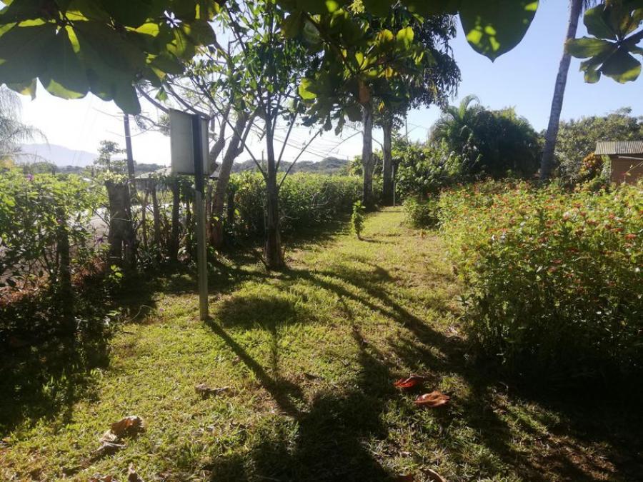 Foto Terreno en Venta en Orotina, Alajuela - U$D 74 - TEV42142 - BienesOnLine