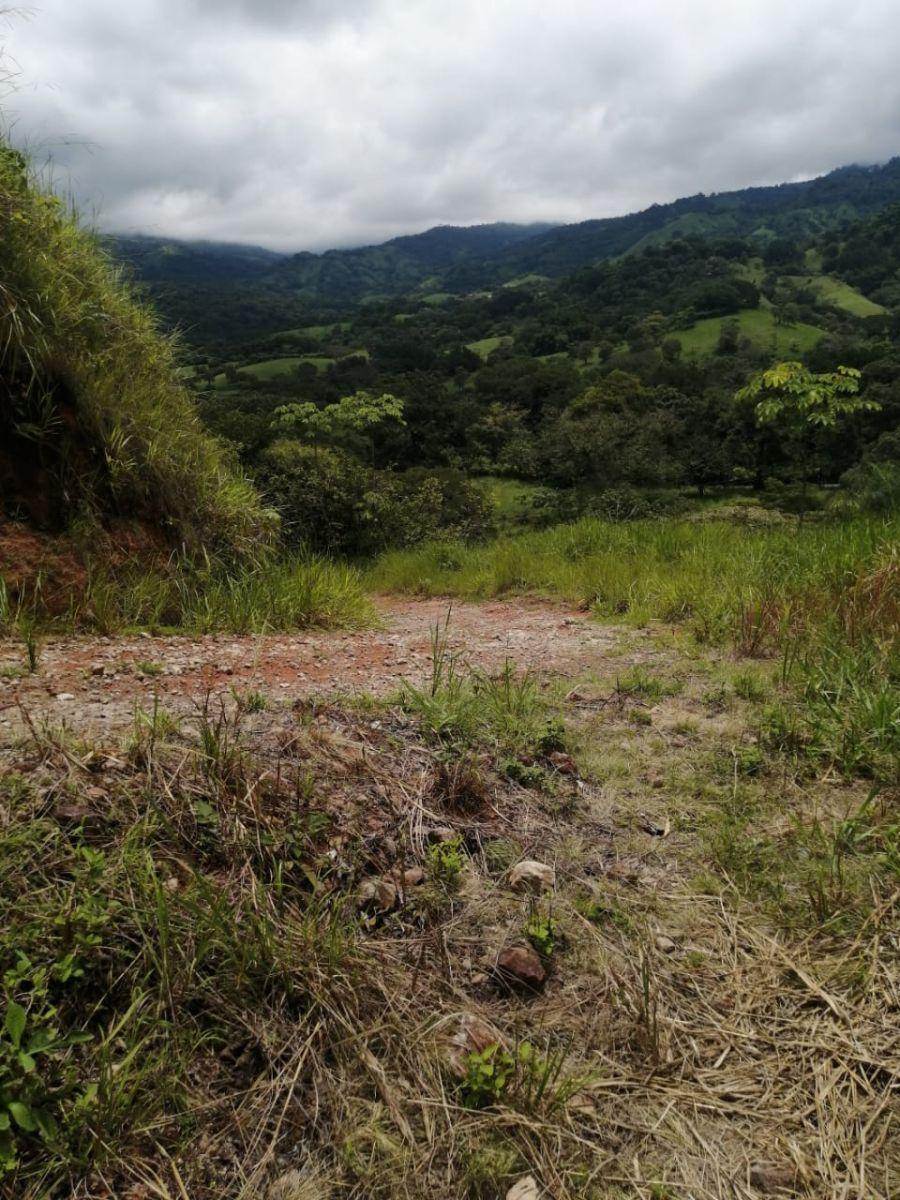 Foto Terreno en Venta en San Mateo, Alajuela - ¢ 46.500.000 - TEV56238 - BienesOnLine