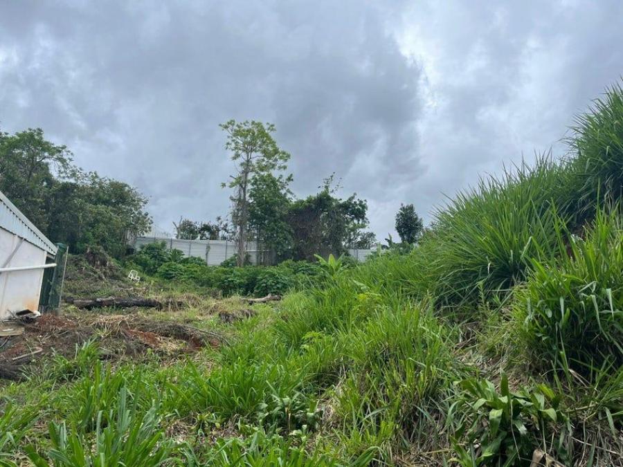 Foto Terreno en Venta en SAN MARCOS TARRAZU, Tarrazú, San José - ¢ 250.000.000 - TEV118913 - BienesOnLine