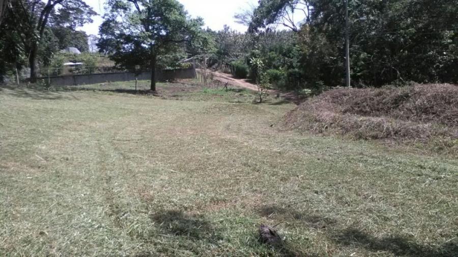 Foto Terreno en Venta en Coyolar, Alajuela - ¢ 19.000.000 - TEV85503 - BienesOnLine