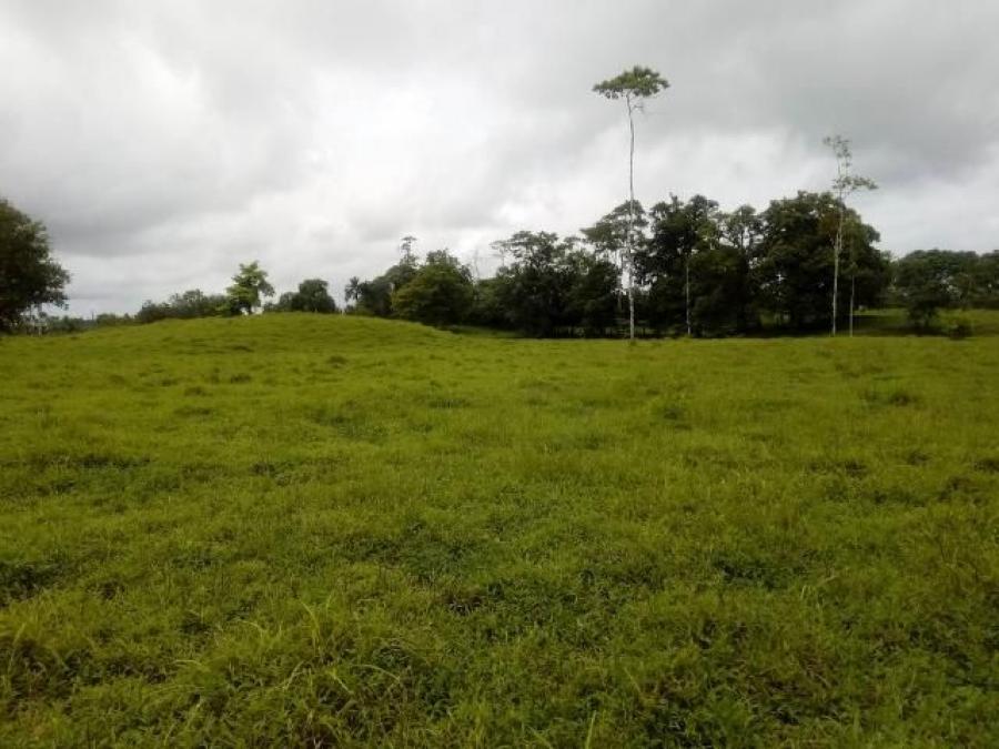 Foto Terreno en Venta en Guapiles, Pococ, Limn - ¢ 79.000.000 - TEV25228 - BienesOnLine