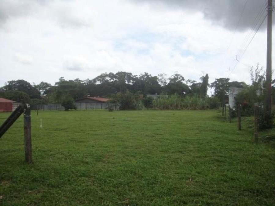 Foto Terreno en Venta en Guapiles, Pococ, Limn - U$D 70.000 - TEV25201 - BienesOnLine