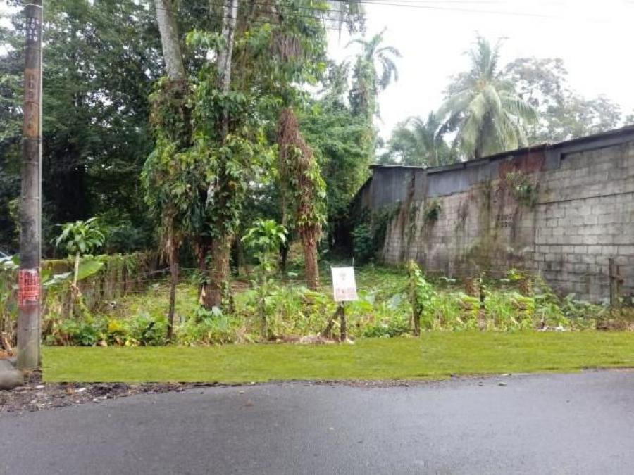 Foto Terreno en Venta en Guapiles, Pococ, Limn - ¢ 75.000.000 - TEV25218 - BienesOnLine