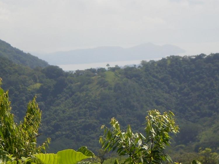 Foto Finca en Venta en Nandayure, Guanacaste - 18 hectareas - ¢ 110.000.000 - FIV1570 - BienesOnLine