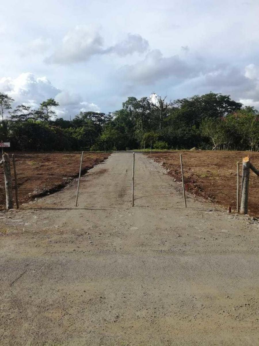 Foto Terreno en Venta en Guapiles, Pococ, Limn - U$D 17.700 - TEV53340 - BienesOnLine