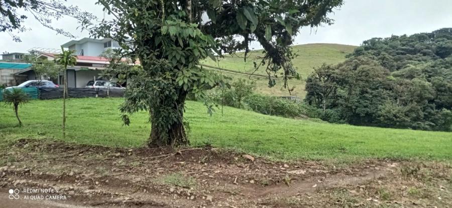 Foto Terreno en Venta en Los ngeles, San Ramn, Alajuela - ¢ 21.000.000 - TEV64776 - BienesOnLine