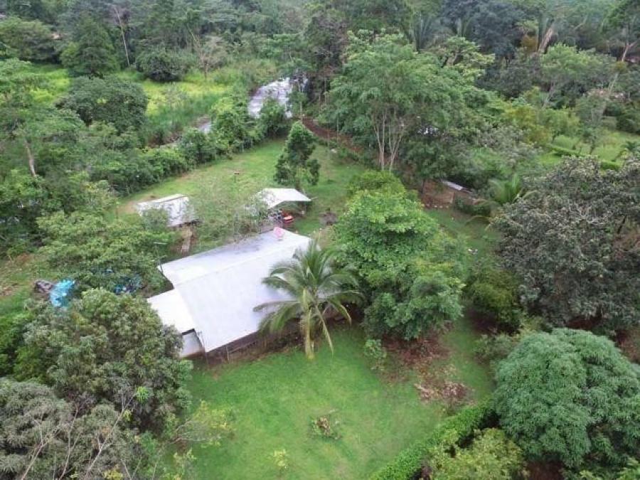 Foto Casa en Venta en San Ramn, Alajuela - ¢ 40.000.000 - CAV69798 - BienesOnLine