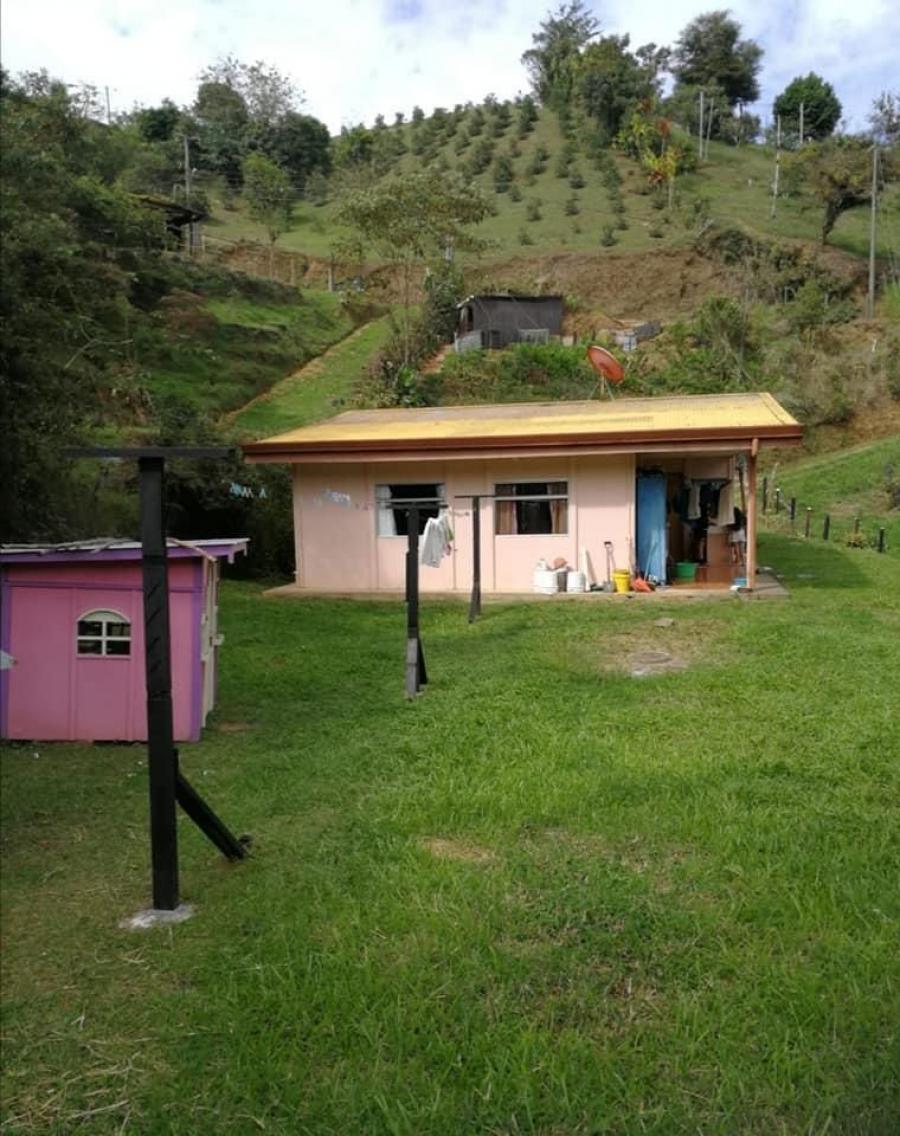 Foto Terreno en Venta en San Isidro, Cartago - U$D 62.000 - TEV30261 - BienesOnLine