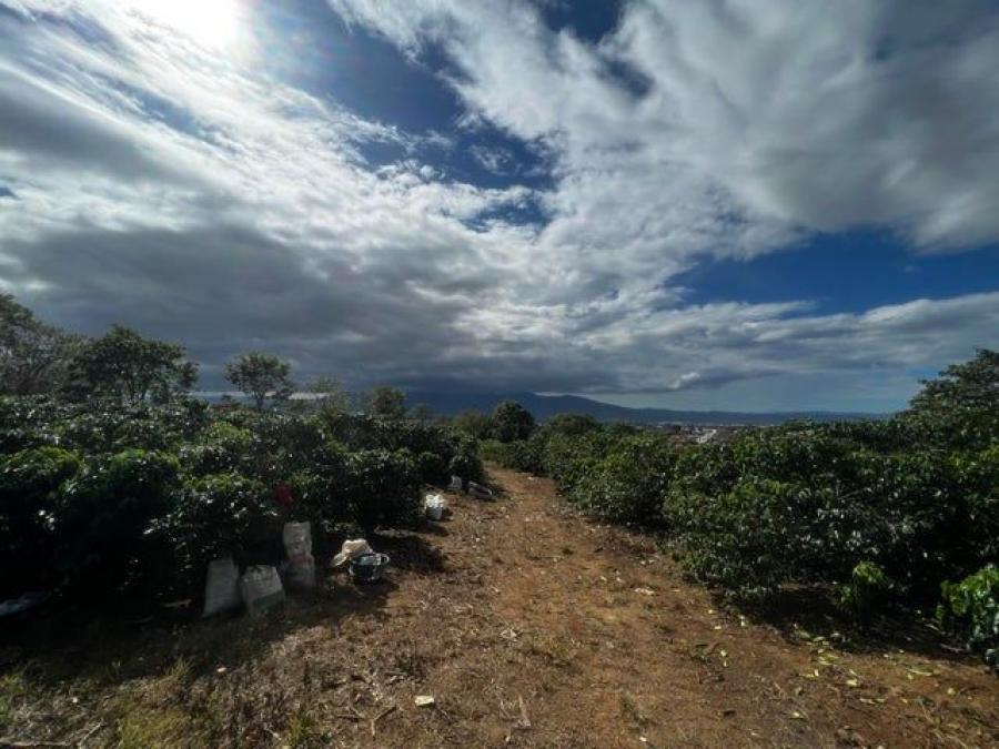 Foto Terreno en Venta en Desamparados, Alajuela - U$D 1.500.000 - TEV95113 - BienesOnLine