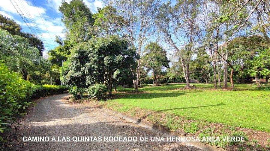 Foto Terreno en Venta en Naranjo, Alajuela - U$D 220.000 - TEV96510 - BienesOnLine