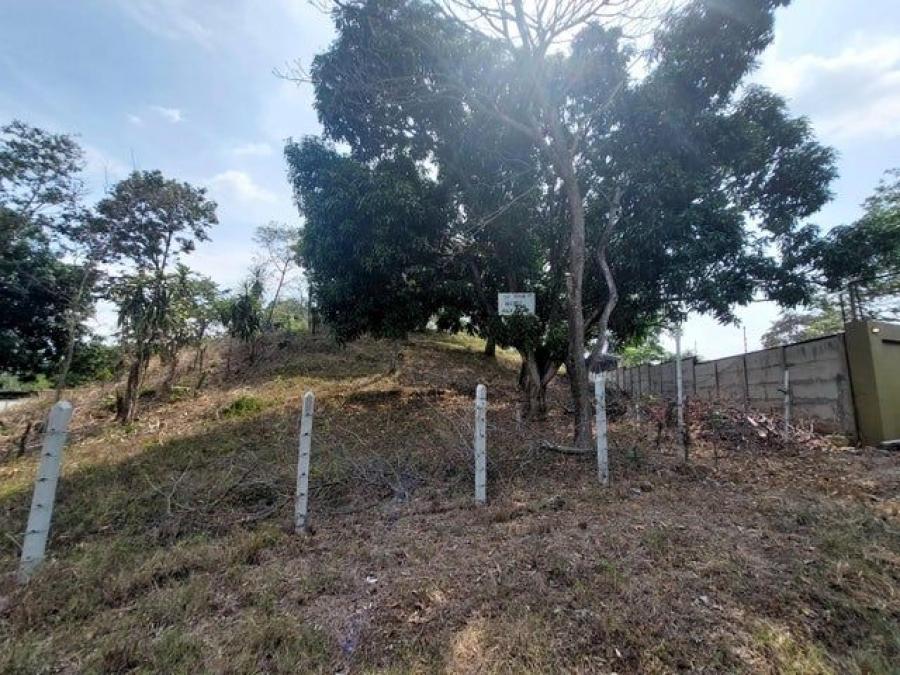 Terreno en Venta en Turrúcares