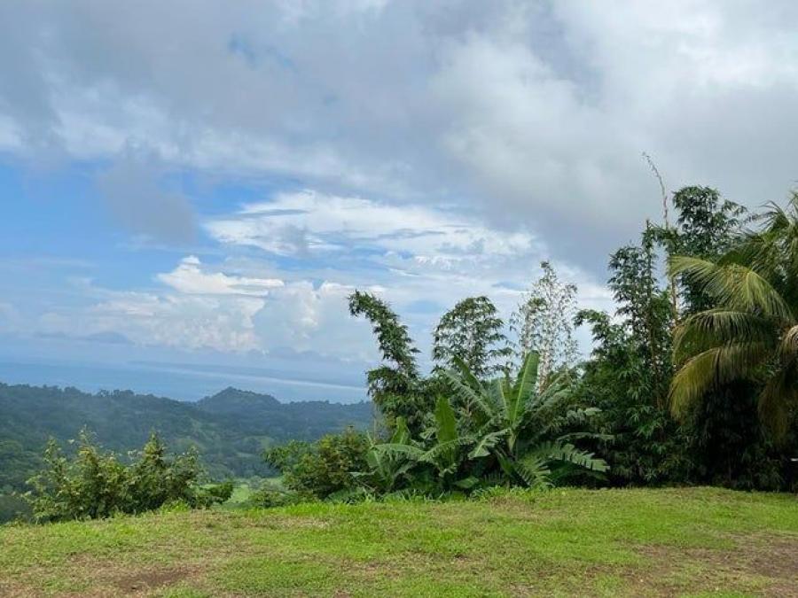 Foto Terreno en Venta en Trcoles, Garabito, Puntarenas - U$D 97.608 - TEV91895 - BienesOnLine