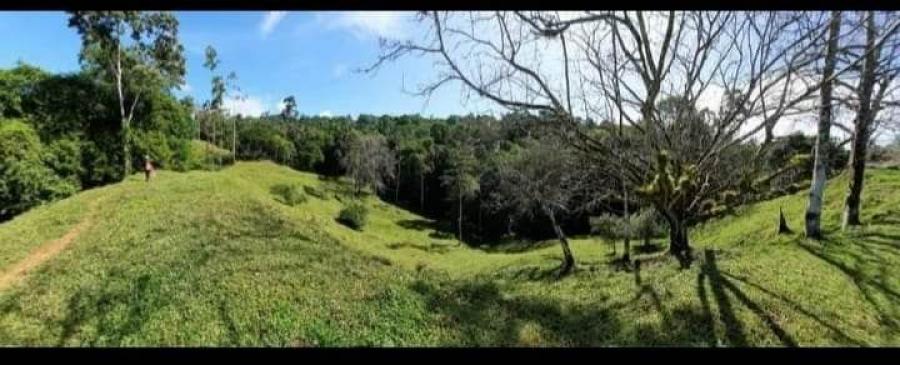Foto Finca en Venta en Valle la Estrella, Talamanca, Limn - 90 hectareas - U$D 700.000 - FIV67299 - BienesOnLine
