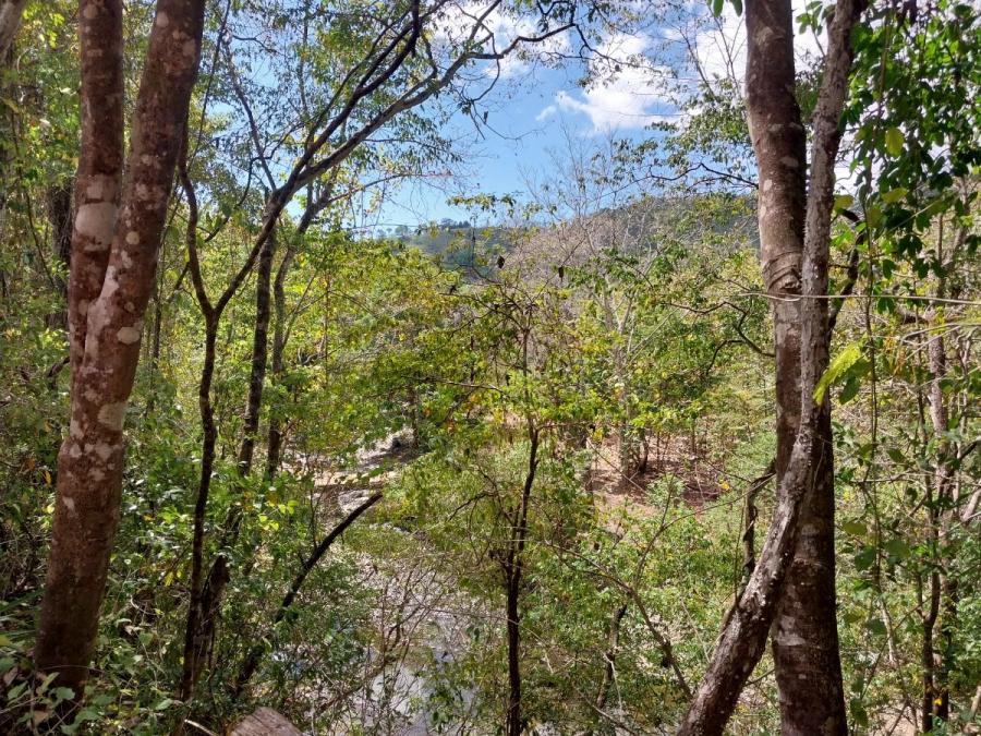 Foto Finca en Venta en Santa Marta de Hojancha, Hojancha, Guanacaste - 782 hectareas - U$D 11.500 - FIV95751 - BienesOnLine