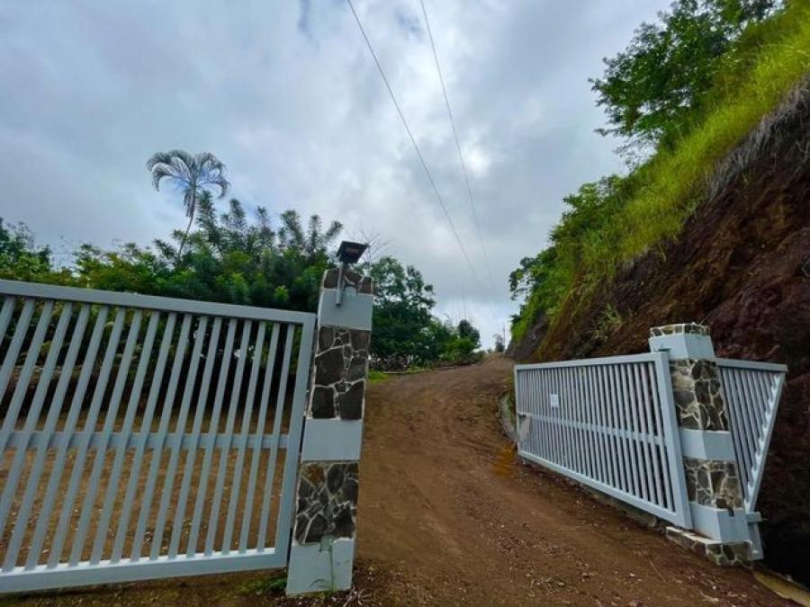 Home in Metric Way