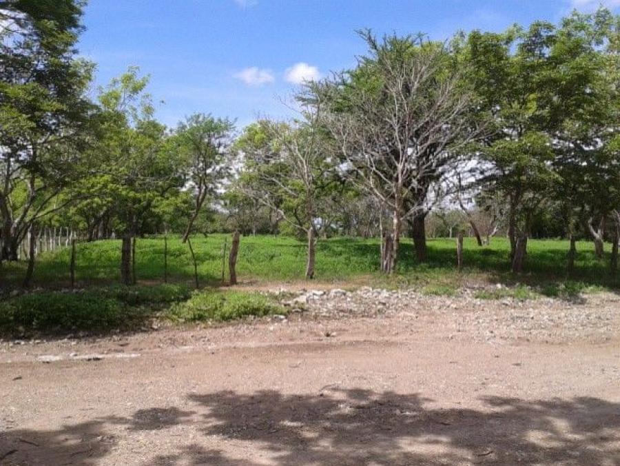 Foto Finca en Venta en Guardia de Liberia, Guanacaste - &cent; 7.000 - FIV70538 - BienesOnLine