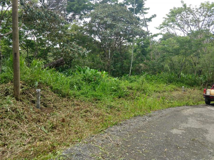 Foto Terreno en Venta en 4a Pavon, Golfito, Puntarenas - ¢ 10.000.000 - TEV64830 - BienesOnLine