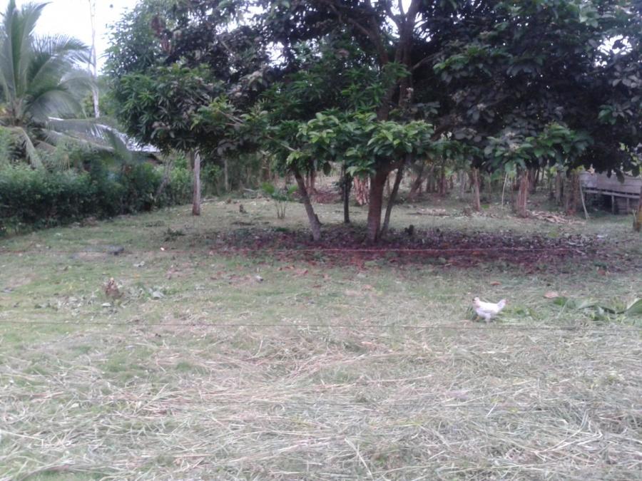 Foto Terreno en Venta en BONIFACIO-TOOBRUK, PENSHURT, Limón - &cent; 20.000.000 - TEV70901 - BienesOnLine