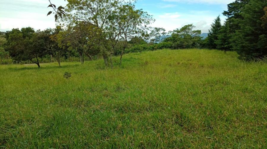 Foto Terreno en Venta en Piedades Sur, San Ramn, Alajuela - ¢ 24.000.000 - TEV67223 - BienesOnLine