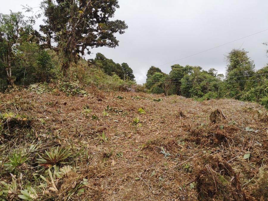 Foto Terreno en Venta en San Isidro, Vara del Roble, Cartago - ¢ 12.000.000 - TEV56743 - BienesOnLine