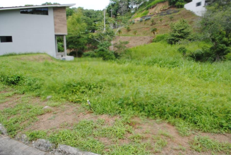 Foto Terreno en Venta en Punta Leona, Puntarenas - U$D 62.500 - TEV85493 - BienesOnLine