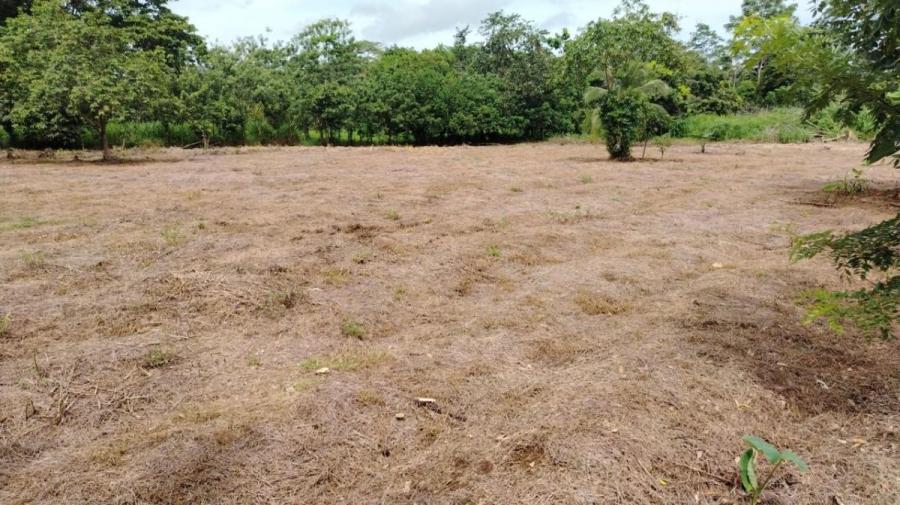 Foto Terreno en Venta en La victoria, Horquetas, Heredia - &cent; 41.544.000 - TEV120810 - BienesOnLine