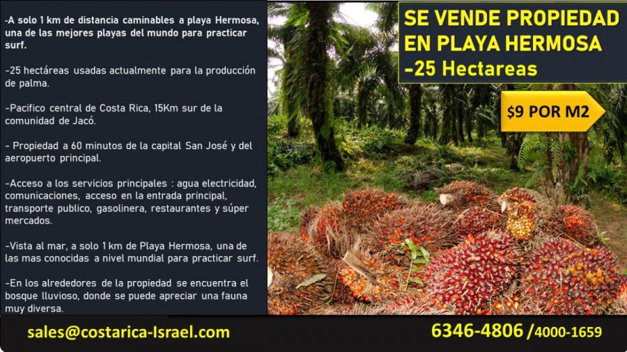 Foto Terreno en Venta en Jac, Puntarenas - 25 hectareas - U$D 2.250.000 - TEV43078 - BienesOnLine