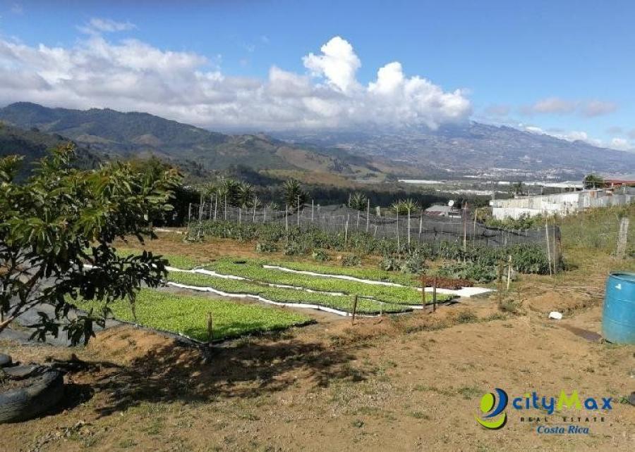 Foto Finca en Venta en Tobosi, Cartago - ¢ 110.000.000 - FIV83062 - BienesOnLine