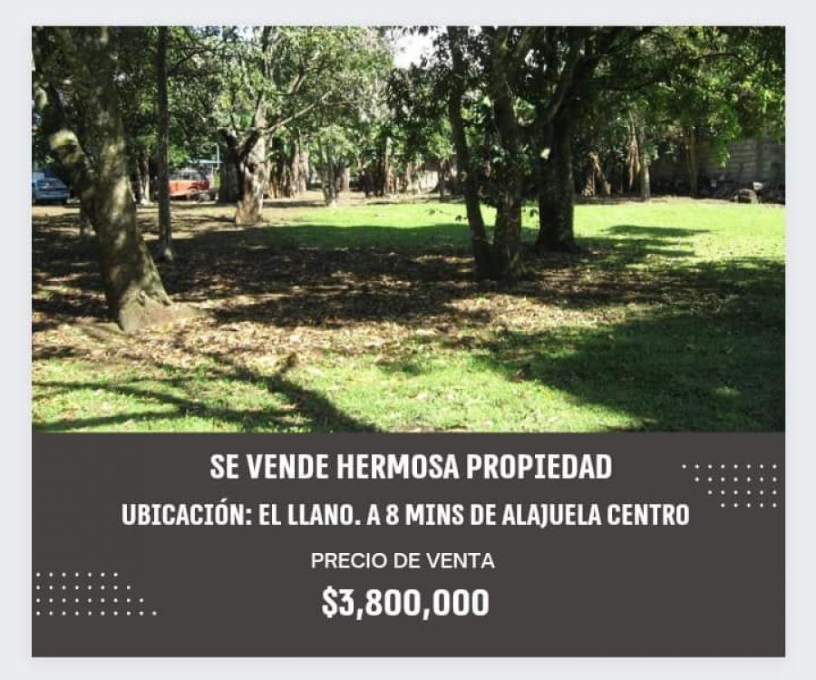 Foto Terreno en Venta en Alajuela, Alajuela - U$D 3.800.000 - TEV65624 - BienesOnLine