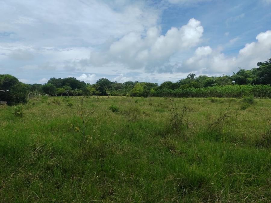 Foto Terreno en Venta en Cobano, Puntarenas - U$D 135.000 - TEV64852 - BienesOnLine