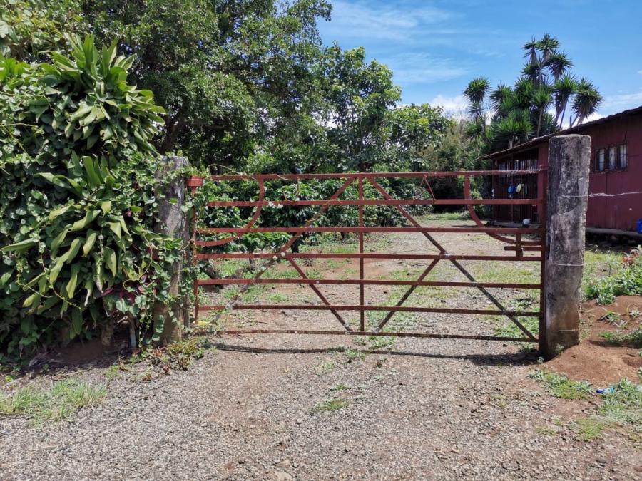 Foto Se VENDE TERRENO para construir en SANTO DOMINGO DE HEREDIA 
