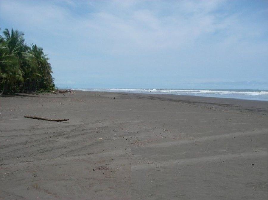 Foto Finca en Venta en Parrita, Puntarenas - U$D 2.800.000 - FIV84812 - BienesOnLine