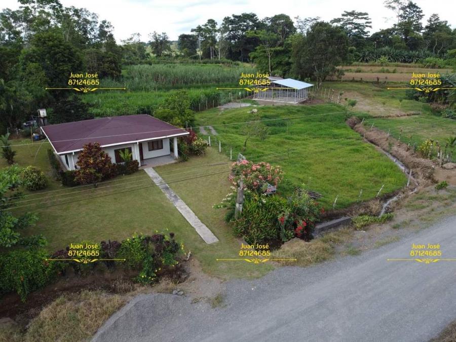 Foto Finca en Venta en Santa ROSA, Pococ, Limn - ¢ 43.000.000 - FIV41222 - BienesOnLine