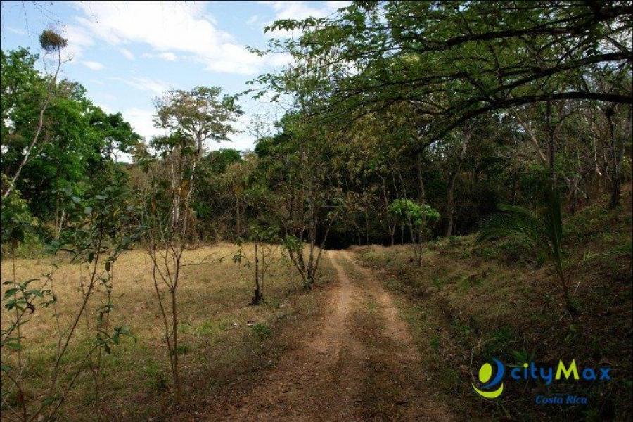 Foto Terreno en Venta en Orotina, Alajuela - 4 hectareas - U$D 500.000 - TEV15861 - BienesOnLine