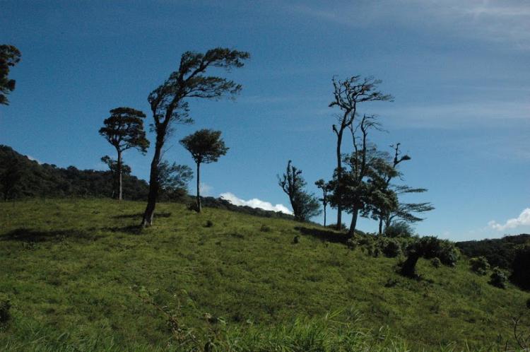 Foto Terreno en Venta en Monteverde, Puntarenas - U$D 131.500 - TEV10109 - BienesOnLine