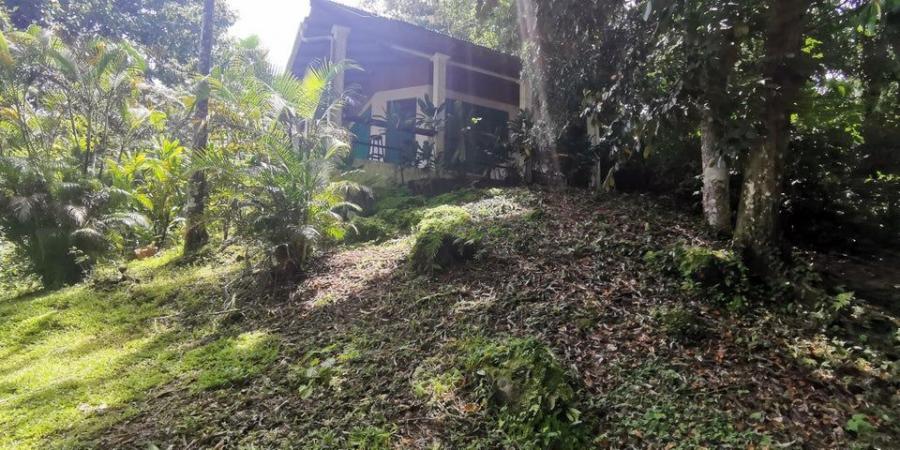 Foto Terreno en Venta en Quepos, Puntarenas - U$D 370.000 - TEV76694 - BienesOnLine